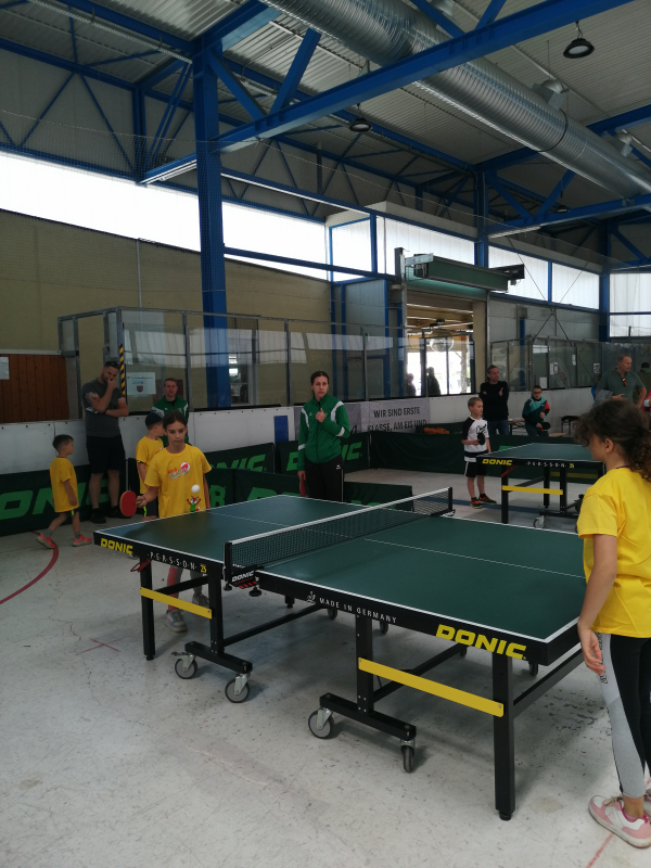 © ASVÖ Kärnten - Tischtennis (VST Völkermarkt)